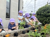image_123650291 (30)