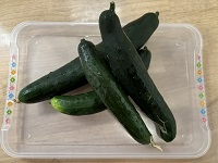 image_50390785