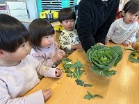 IMG_9158_Original