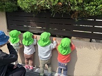 IMG_3134_Original