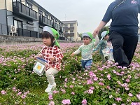 IMG_5333_Original