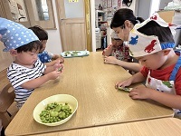 IMG_0295_Original