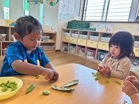 IMG_5800_Original