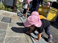 IMG_7113