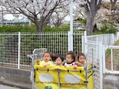 お花見散歩①
