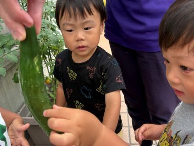 食育②