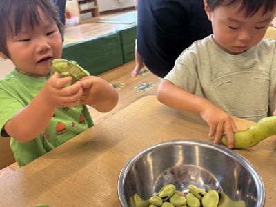 豆の皮むき 
