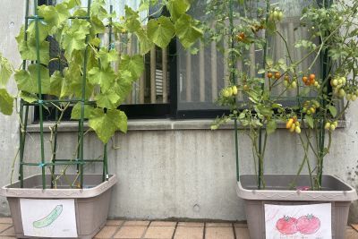 7月アイコン