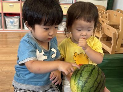 すいかわり①