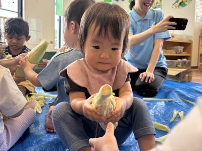 トウモロコシ①